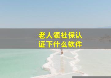 老人领社保认证下什么软件