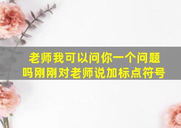 老师我可以问你一个问题吗刚刚对老师说加标点符号