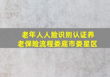 老年人人脸识别认证养老保险流程娄底市娄星区