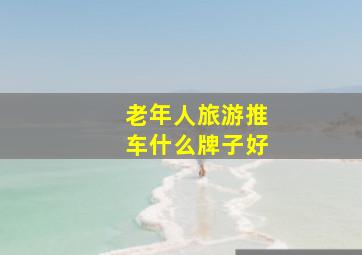 老年人旅游推车什么牌子好