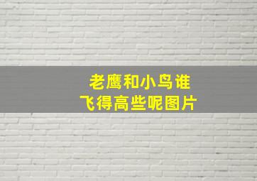 老鹰和小鸟谁飞得高些呢图片