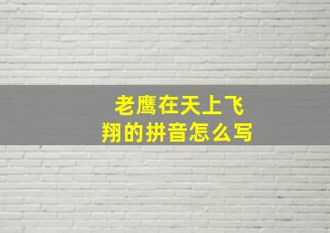 老鹰在天上飞翔的拼音怎么写