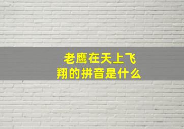 老鹰在天上飞翔的拼音是什么