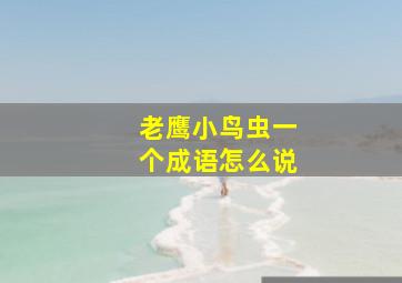 老鹰小鸟虫一个成语怎么说