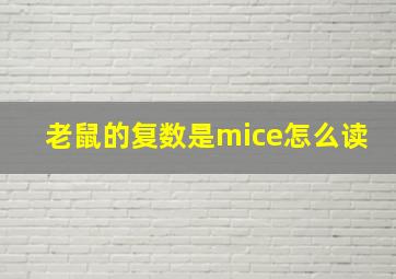 老鼠的复数是mice怎么读