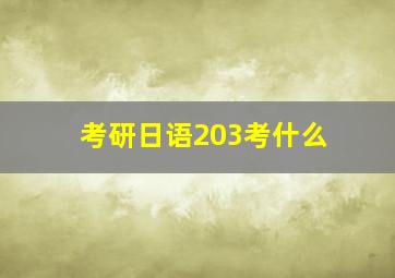 考研日语203考什么