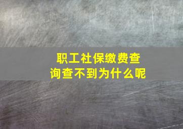 职工社保缴费查询查不到为什么呢