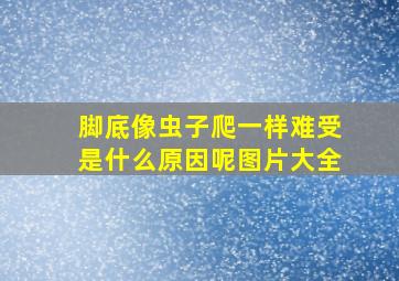 脚底像虫子爬一样难受是什么原因呢图片大全