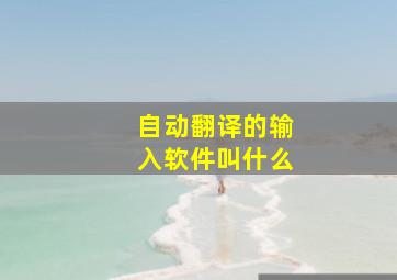 自动翻译的输入软件叫什么