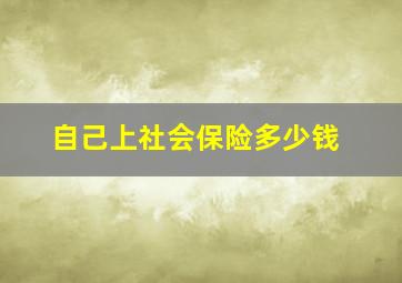 自己上社会保险多少钱