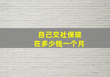 自己交社保现在多少钱一个月