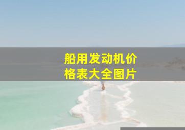 船用发动机价格表大全图片