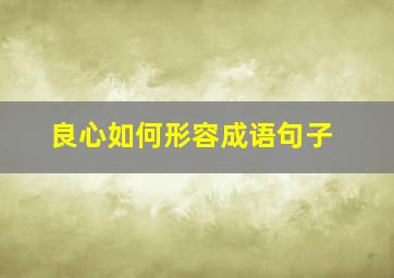 良心如何形容成语句子