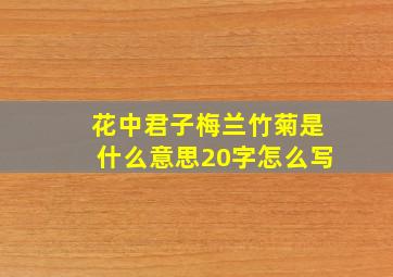 花中君子梅兰竹菊是什么意思20字怎么写