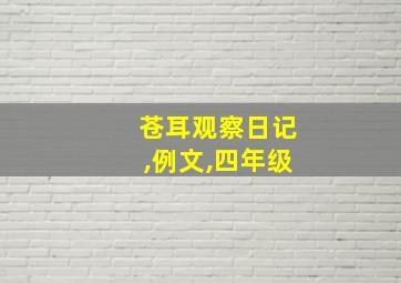 苍耳观察日记,例文,四年级