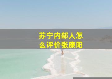 苏宁内部人怎么评价张康阳