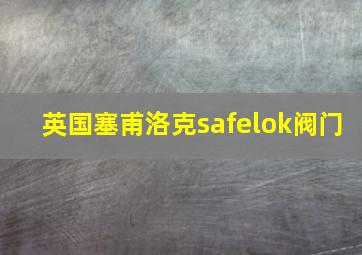 英国塞甫洛克safelok阀门