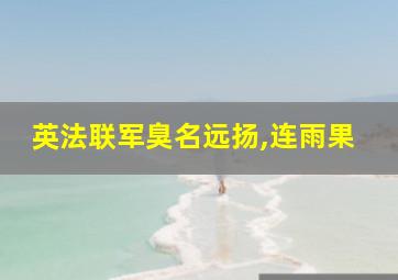 英法联军臭名远扬,连雨果