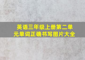 英语三年级上册第二单元单词正确书写图片大全