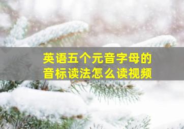 英语五个元音字母的音标读法怎么读视频