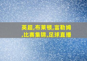 英超,布莱顿,富勒姆,比赛集锦,足球直播