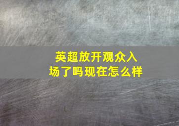 英超放开观众入场了吗现在怎么样