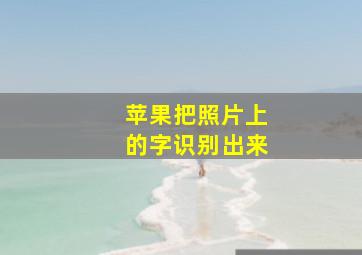 苹果把照片上的字识别出来