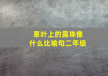 草叶上的露珠像什么比喻句二年级