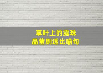 草叶上的露珠晶莹剔透比喻句