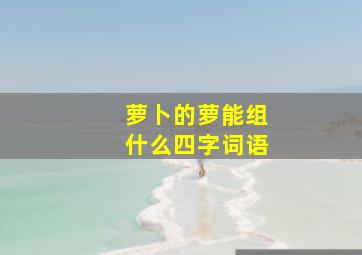 萝卜的萝能组什么四字词语