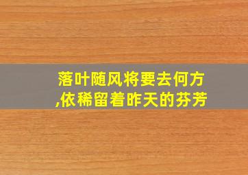 落叶随风将要去何方,依稀留着昨天的芬芳