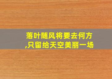 落叶随风将要去何方,只留给天空美丽一场