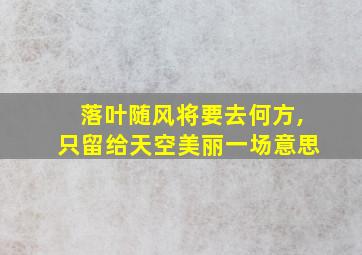 落叶随风将要去何方,只留给天空美丽一场意思