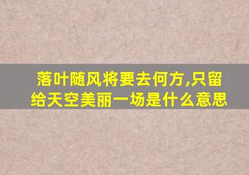 落叶随风将要去何方,只留给天空美丽一场是什么意思