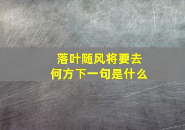 落叶随风将要去何方下一句是什么