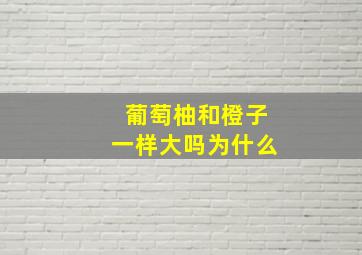 葡萄柚和橙子一样大吗为什么