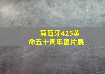 葡萄牙425革命五十周年图片展