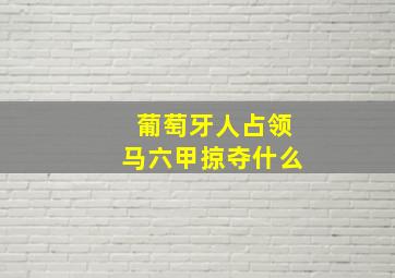 葡萄牙人占领马六甲掠夺什么