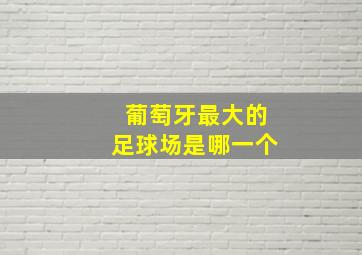 葡萄牙最大的足球场是哪一个