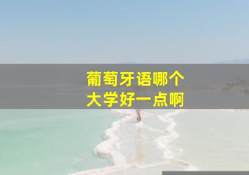 葡萄牙语哪个大学好一点啊