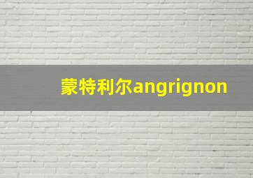 蒙特利尔angrignon