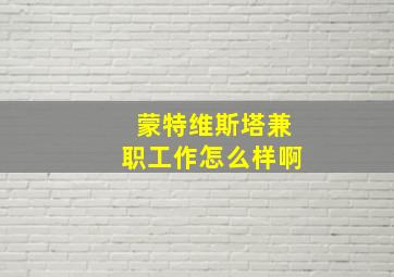 蒙特维斯塔兼职工作怎么样啊