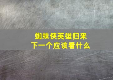 蜘蛛侠英雄归来下一个应该看什么