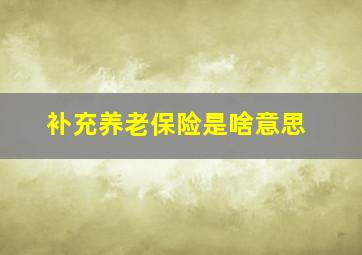 补充养老保险是啥意思