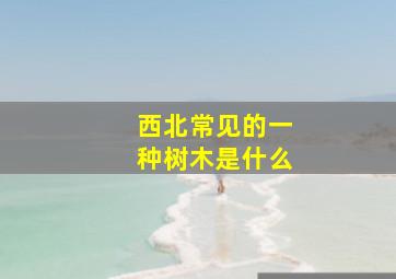 西北常见的一种树木是什么