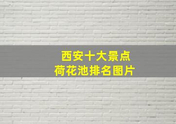 西安十大景点荷花池排名图片