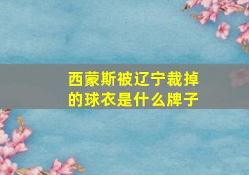 西蒙斯被辽宁裁掉的球衣是什么牌子