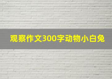 观察作文300字动物小白兔