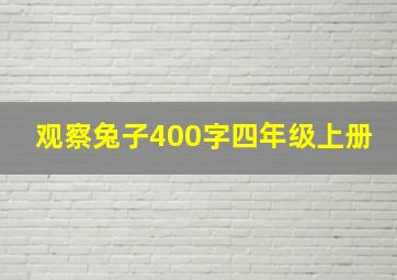 观察兔子400字四年级上册