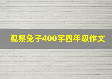 观察兔子400字四年级作文